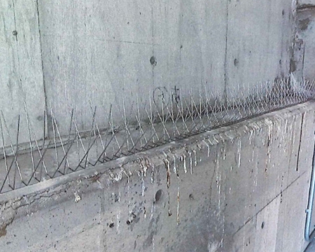 鳩除けプロテクター1